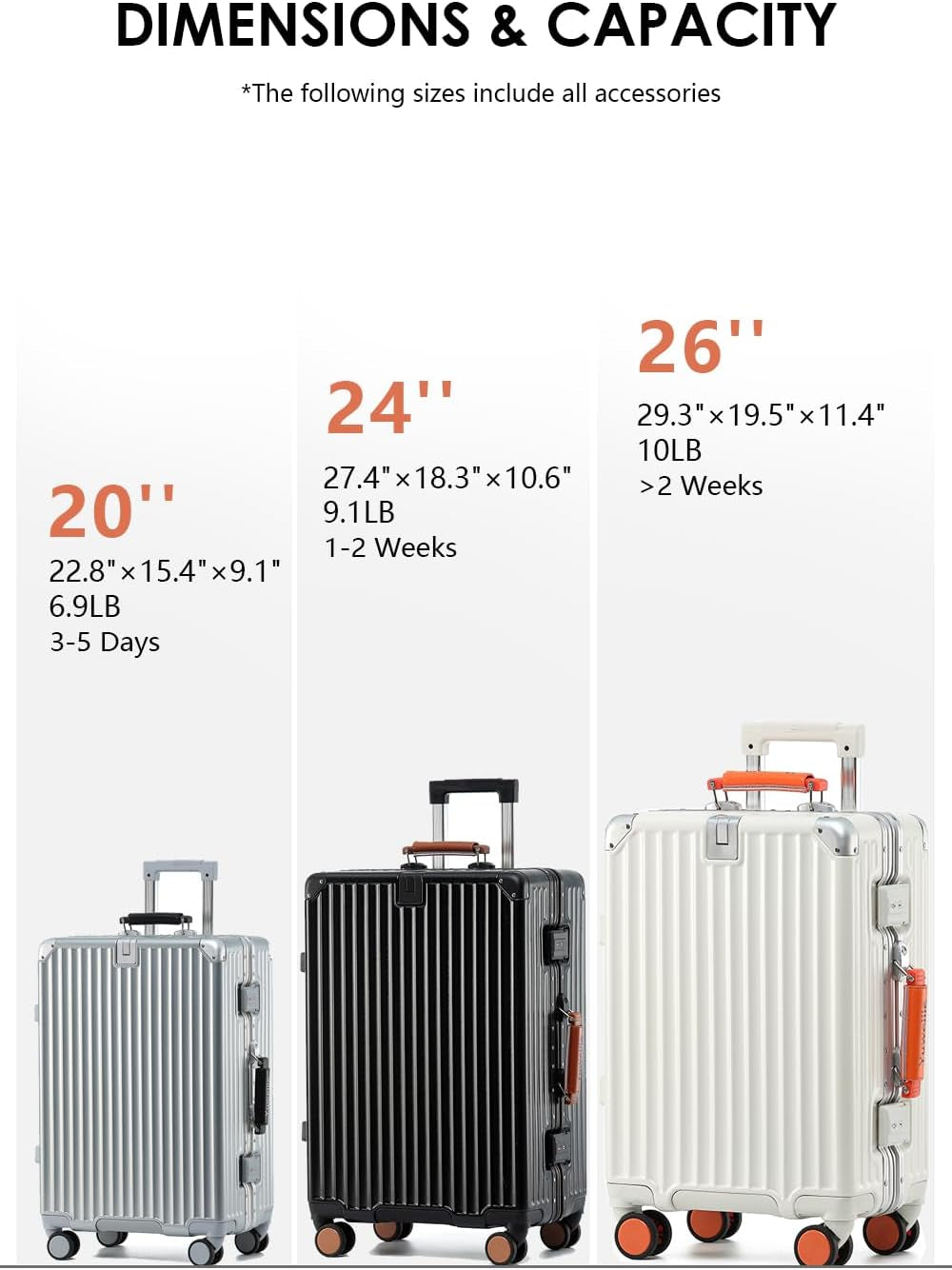 20 Inch Carry on Luggage with Leather Handle,Silver
