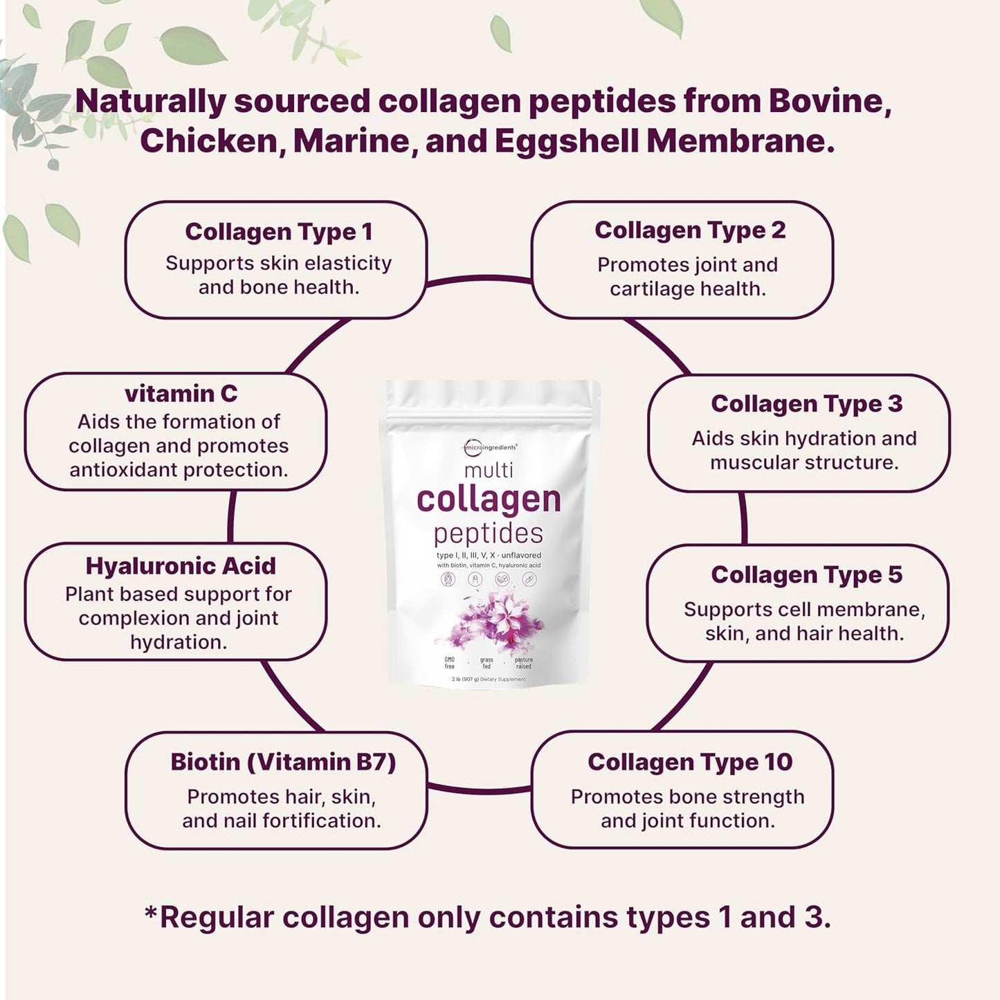 Multi Colágeno Proteína en Polvo, 2 libras – Tipo I, II, III, V, X con Biotina, Ácido Hialurónico, Vitamina C