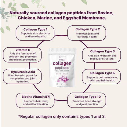 Multi Colágeno Proteína en Polvo, 2 libras – Tipo I, II, III, V, X con Biotina, Ácido Hialurónico, Vitamina C