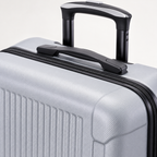 Lotus Silver Suitcase — product detail